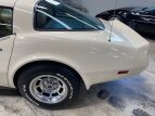 Thumbnail Photo 24 for 1980 Chevrolet Corvette Coupe